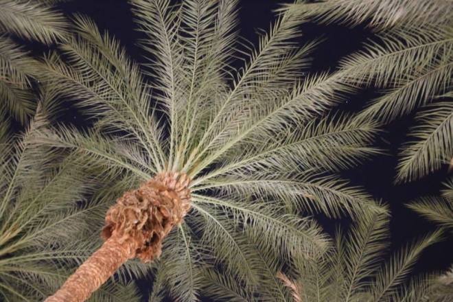 17388_1539228906322838_4031496580613655156_n